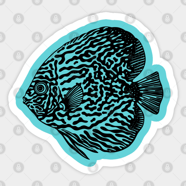 Discus Fish or Pompadour Fish - animal drawing for fish lovers Sticker by Green Paladin